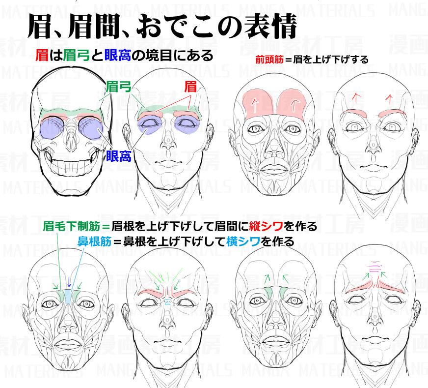 畫師素材分享十幾張動漫臉部肌肉圖