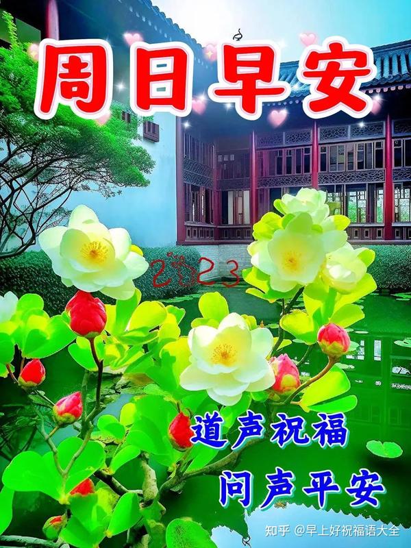 5月28日周日早上好,星期天早安祝福语图 - 知乎