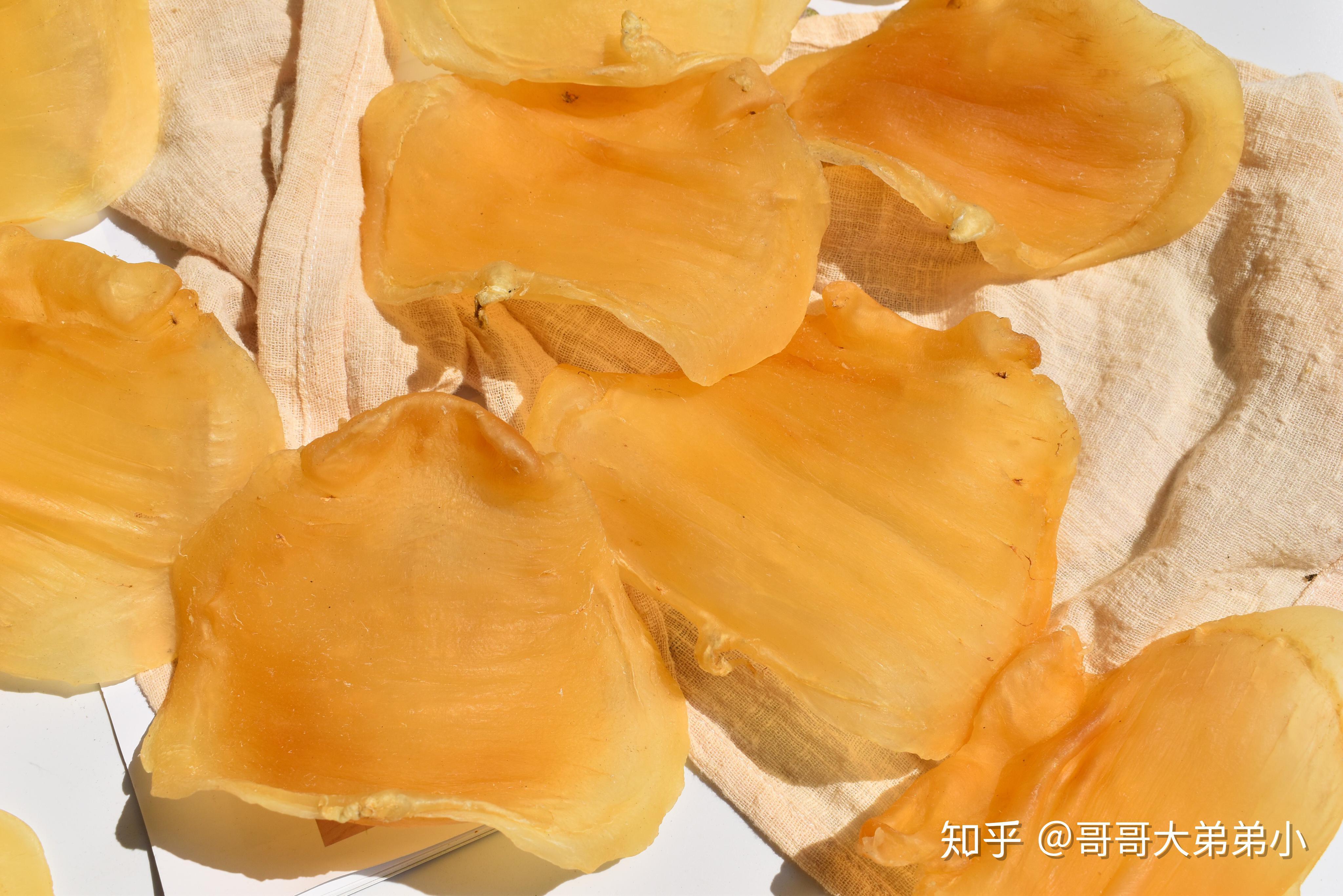 斯里兰卡红鸡赤嘴,肉质最好的红鸡