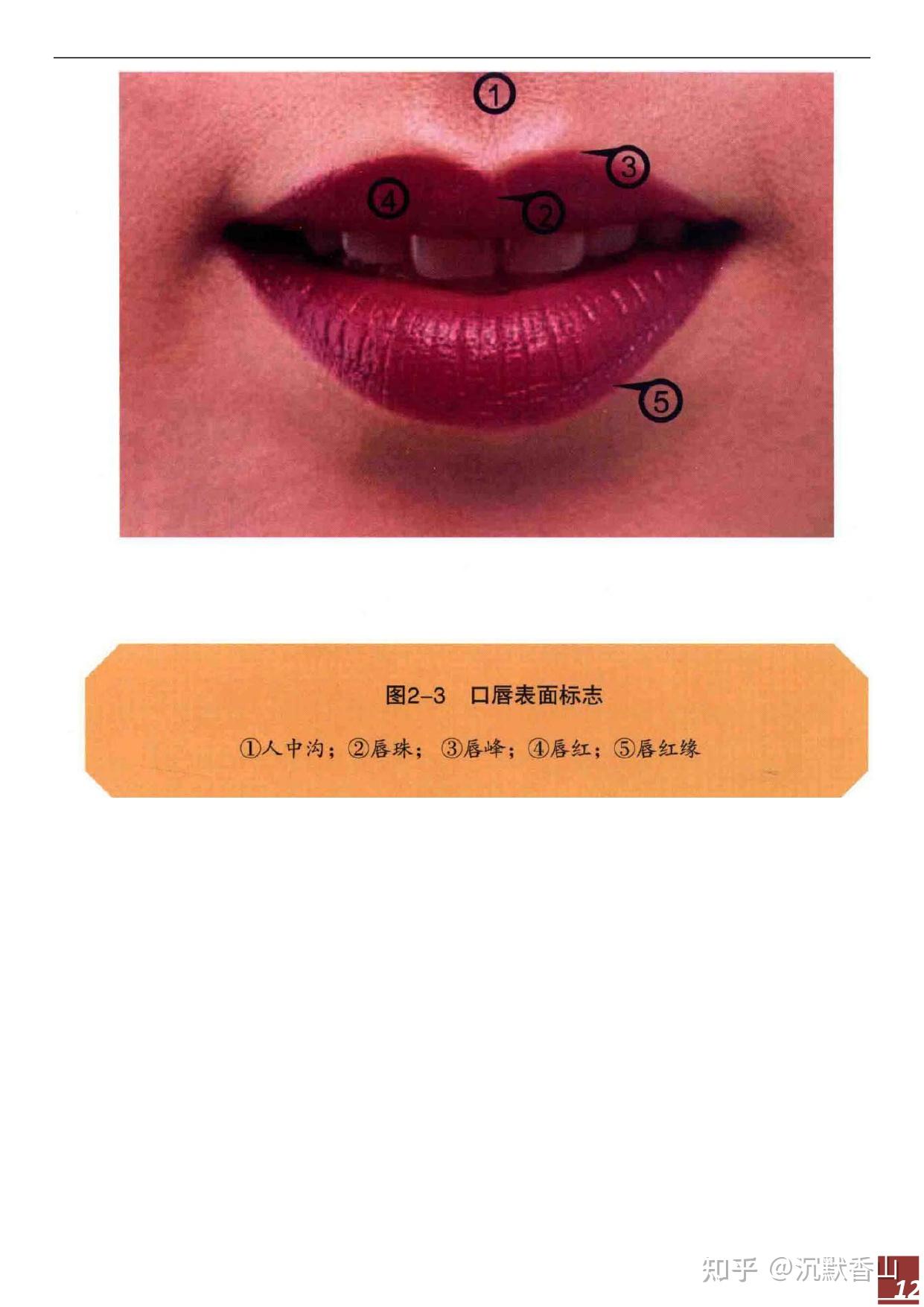 口腔局部解剖与生理功能思维导图 - 知乎