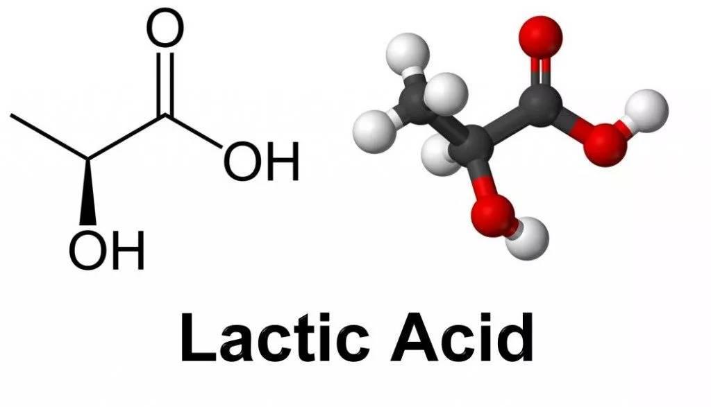 運動後讓你感覺痠痛的乳酸其實是重要的能量來源