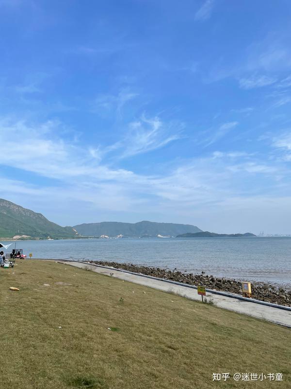 坝光银叶树湿地公园游记