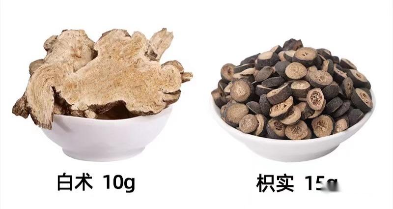 枳术汤加减方图片