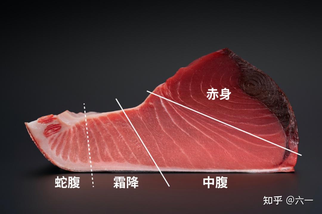 然而这一贯蛇腹,不会让人只留意到它的脂肪.