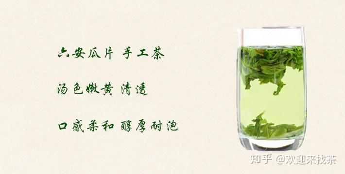 六安瓜片属于什么茶怎么读 v2-c5c1ec61aa49173513130515baf04595_r.jpg