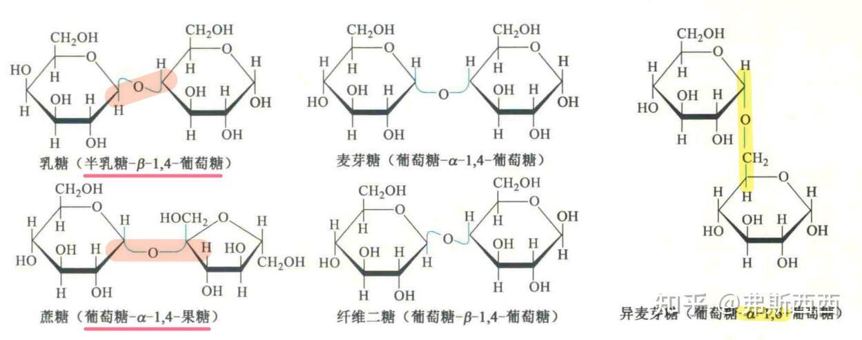 半缩酮结构图片