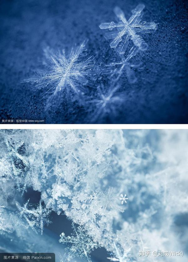 显微镜下的雪形态不一