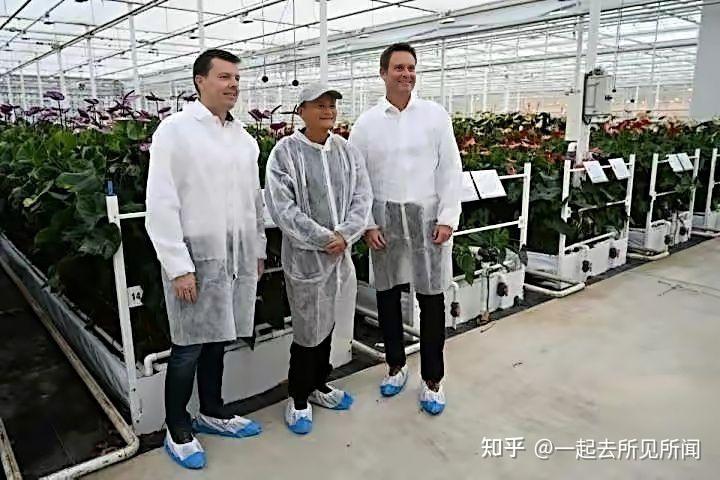 马云成立"马家厨房"做预制菜,为何迎来一片骂声? - 知乎