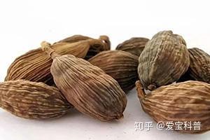 “罂粟壳”和“草果”傻傻分不清楚？ 知乎 