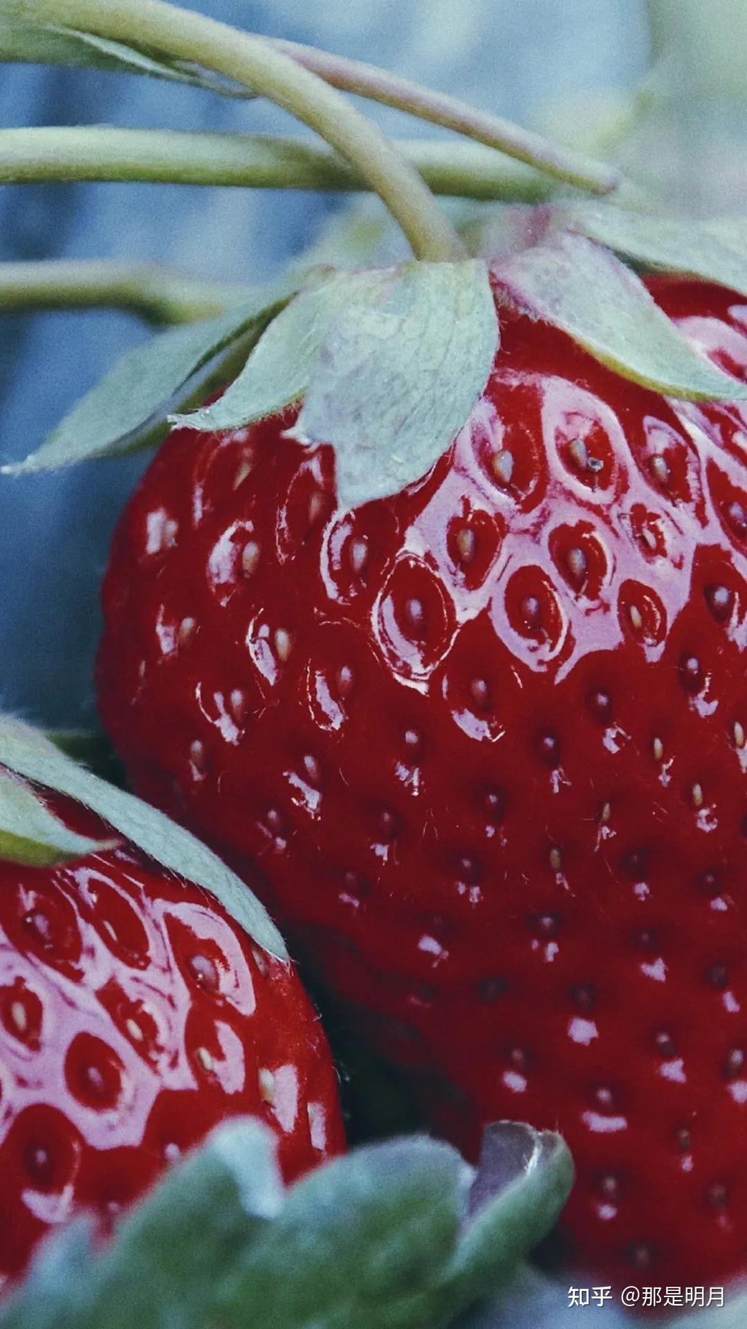 有没有很好看的草莓系列壁纸