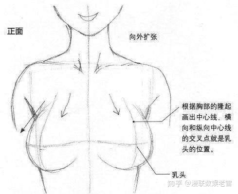 教程怎样画漫画美胸干货动漫角色胸部结构画法