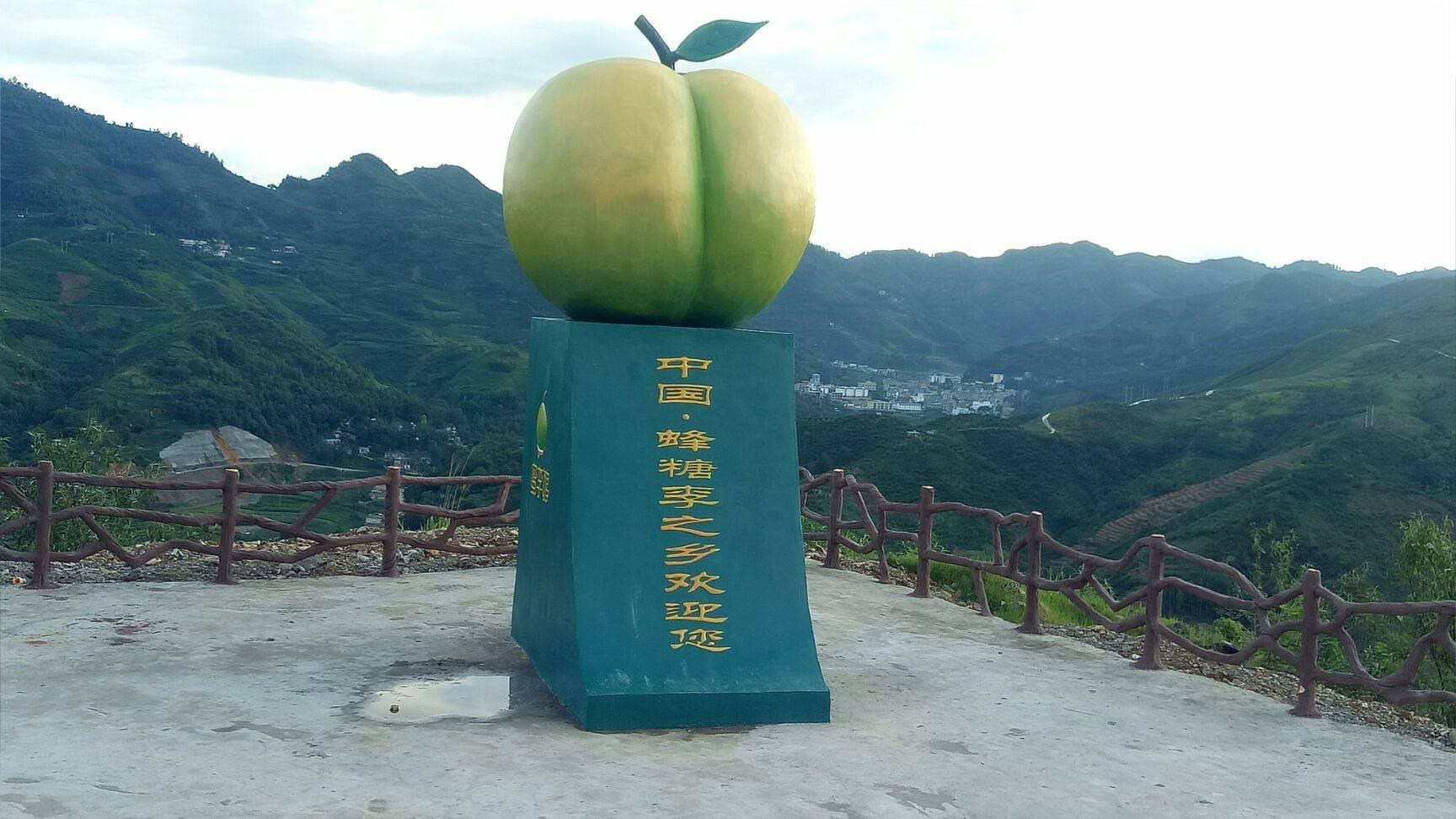 而市面上也有一些水果,可能并非正宗的贵州镇宁六马蜂糖李,价格更低