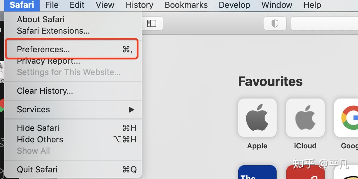 首先打开safari,点击preferences