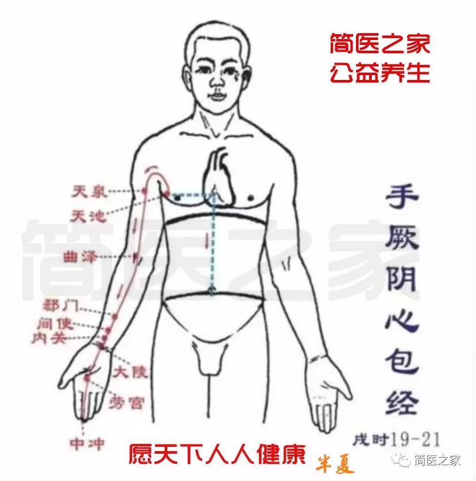 半夏谈养生 手厥阴心包经 中冲穴的妙用 知乎