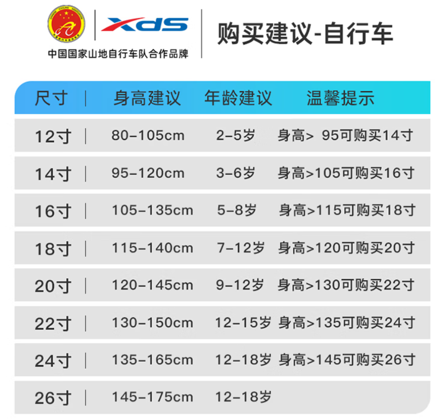 喜德盛rx200配置图片