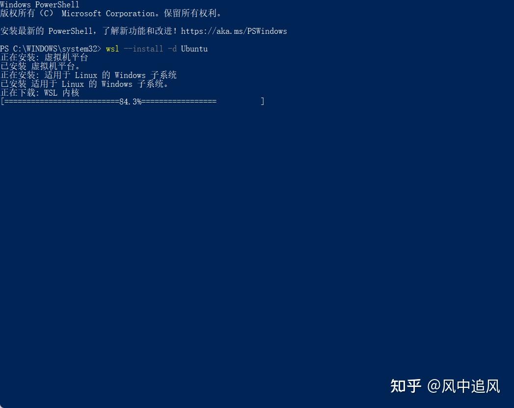 Windows 11 wsl2 