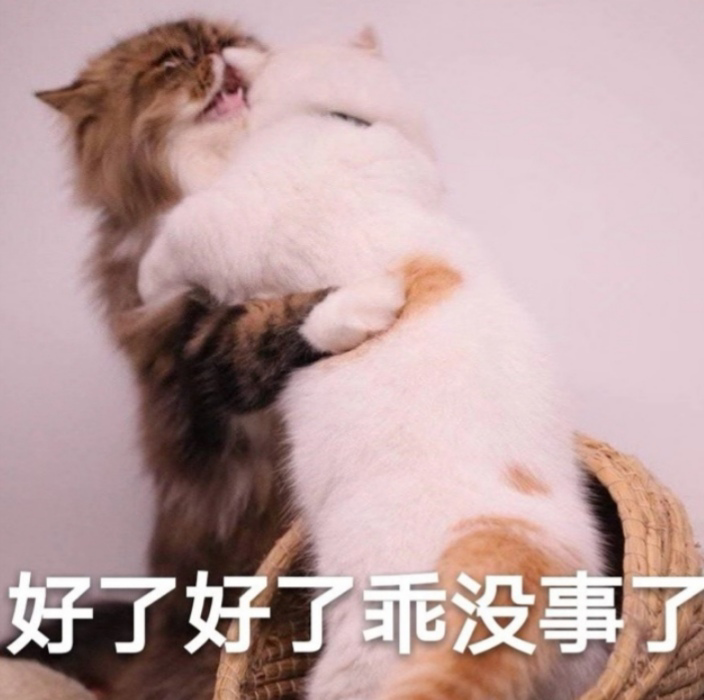 有哪些安慰别人的表情包？ - 知乎