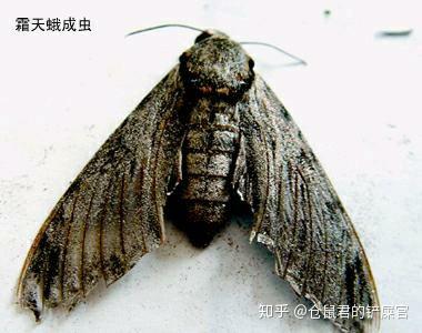 v2-c6814958d62d66f59bdecce23864ac85_b.jpg