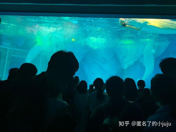 公园5攻略