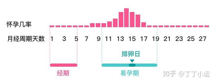 备孕期间性生活的时机频率与技巧