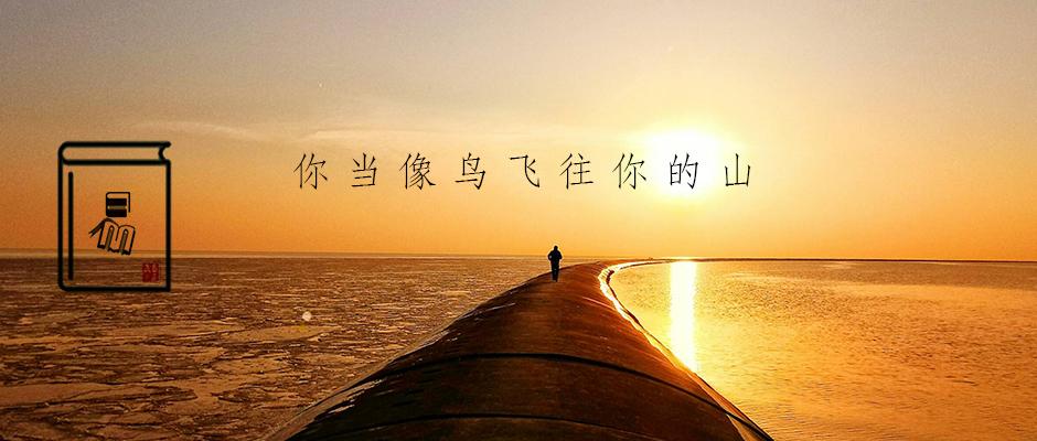 你当像鸟飞往你的山我本可以忍受黑暗如果未曾见过太阳