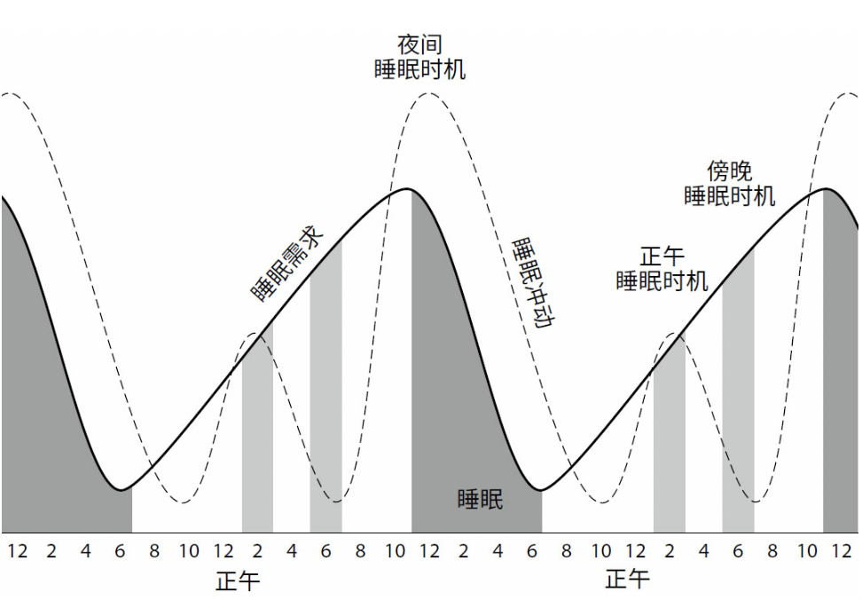 知乎盐选 | R90 睡眠法：正确睡觉和休息，有能量才能不拖延
