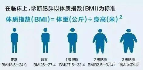 年腰围标准出炉 快看看你的是不是超标了 知乎