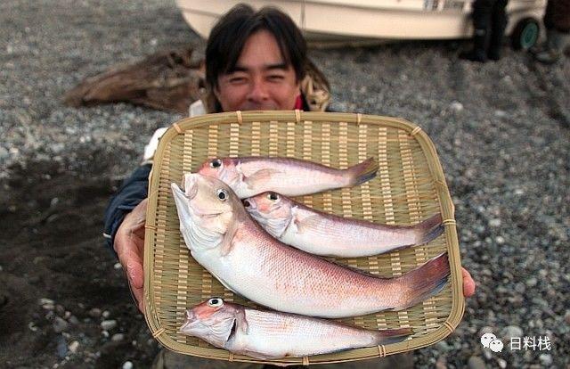 甘鲷德川家康钦点白身鱼其实是个表情帝