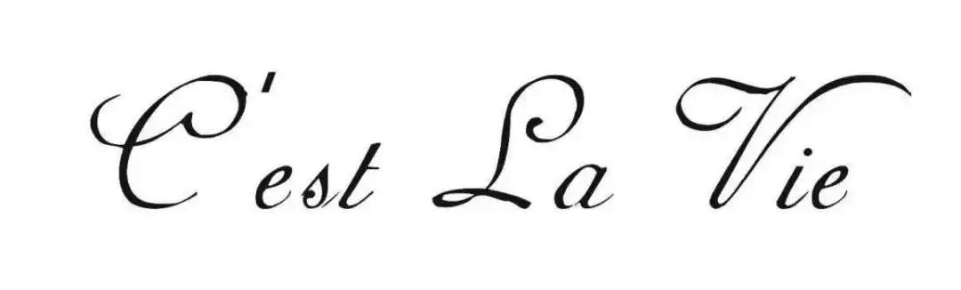 这就是生活啊.通常表示一种无奈与抱怨.