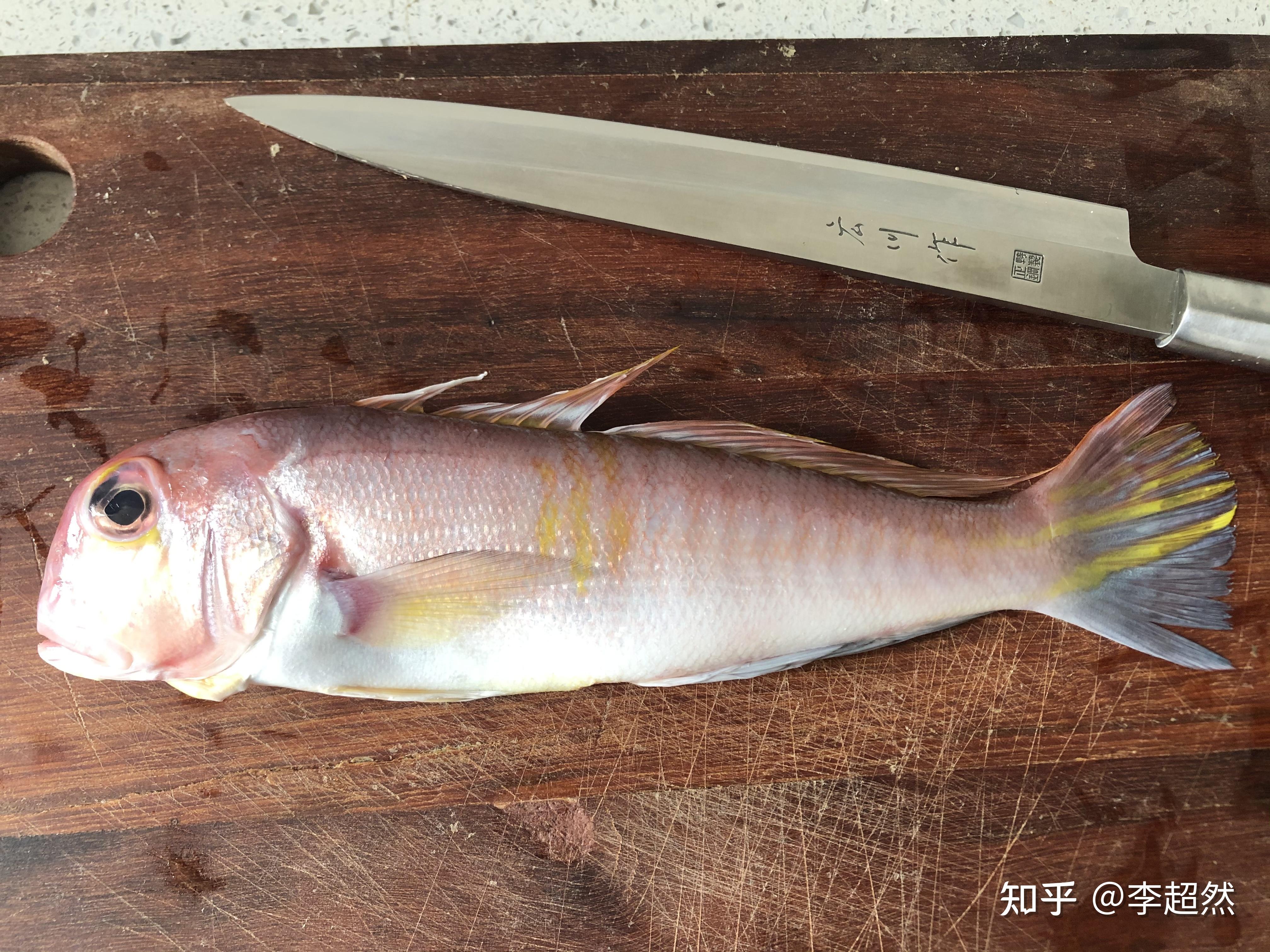 甘鲷这种鱼在我国南方被称为马头鱼,方头鱼或者斧头鱼.学名为甘鲷.