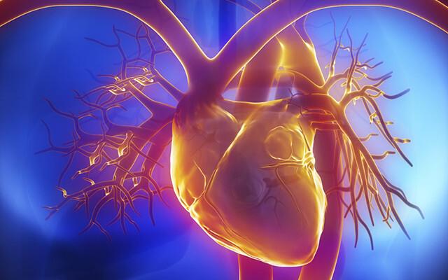 甲减导致心血管疾病的风险到底有多高