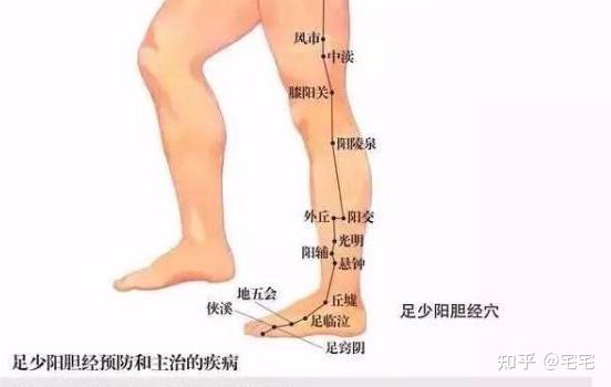 经络穴位图讲解【足少阳胆经】 - 知乎