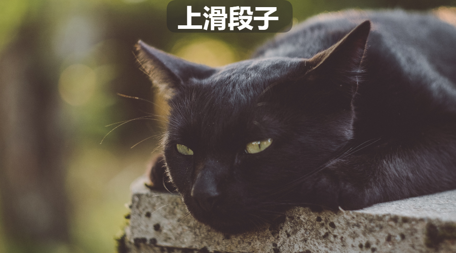 v2-c6f873b9062b53be57ff3379ee5ae36d_1440w.jpg?source=172ae18b