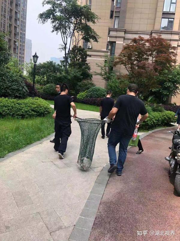 汉阳民警清除学校周边流浪狗患为学生中考保驾护航 - 知乎