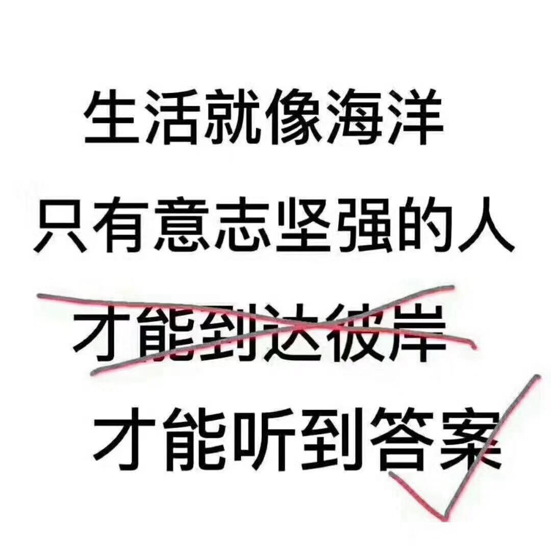 高考能抄到算你本事。如何评价这个观点?