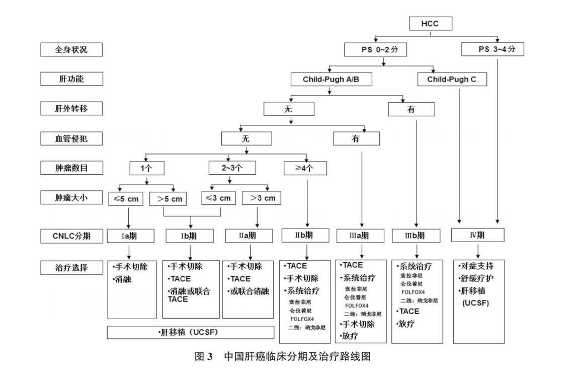 治療方案c級≥10分b級7~9分a級≤6分結果判定肝功能child-pugh分級5分