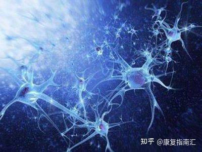 多发性神经炎 - 知乎