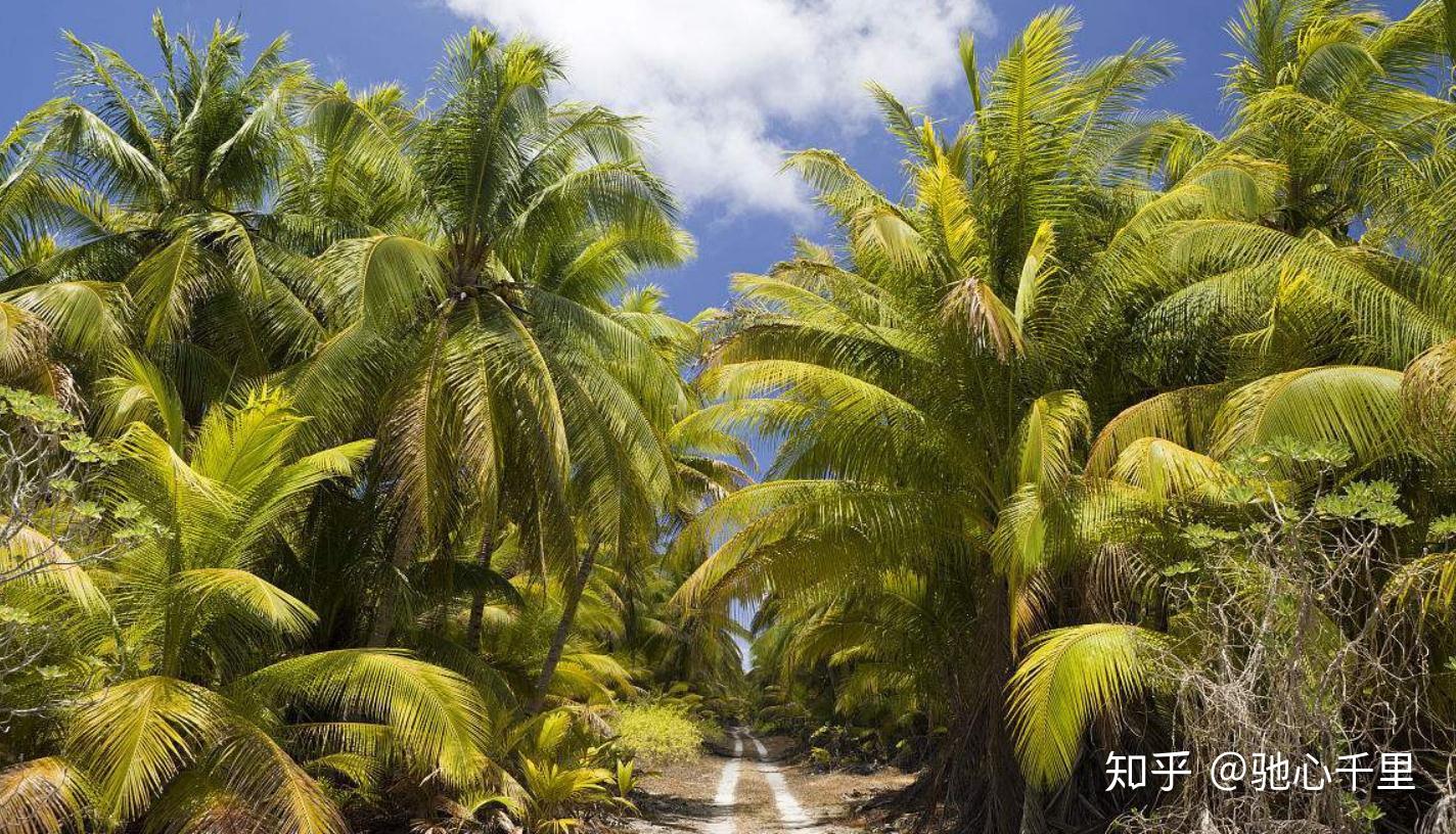 HL马绍尔移民、马绍尔护照、马绍尔是离美国“最近”的国家吗？快速办理- 知乎