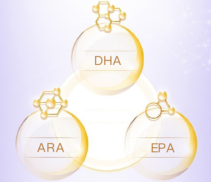 不能被忽视的提高记忆力，DHA是真有用（dha真的可以促进孩子增强记忆力吗）