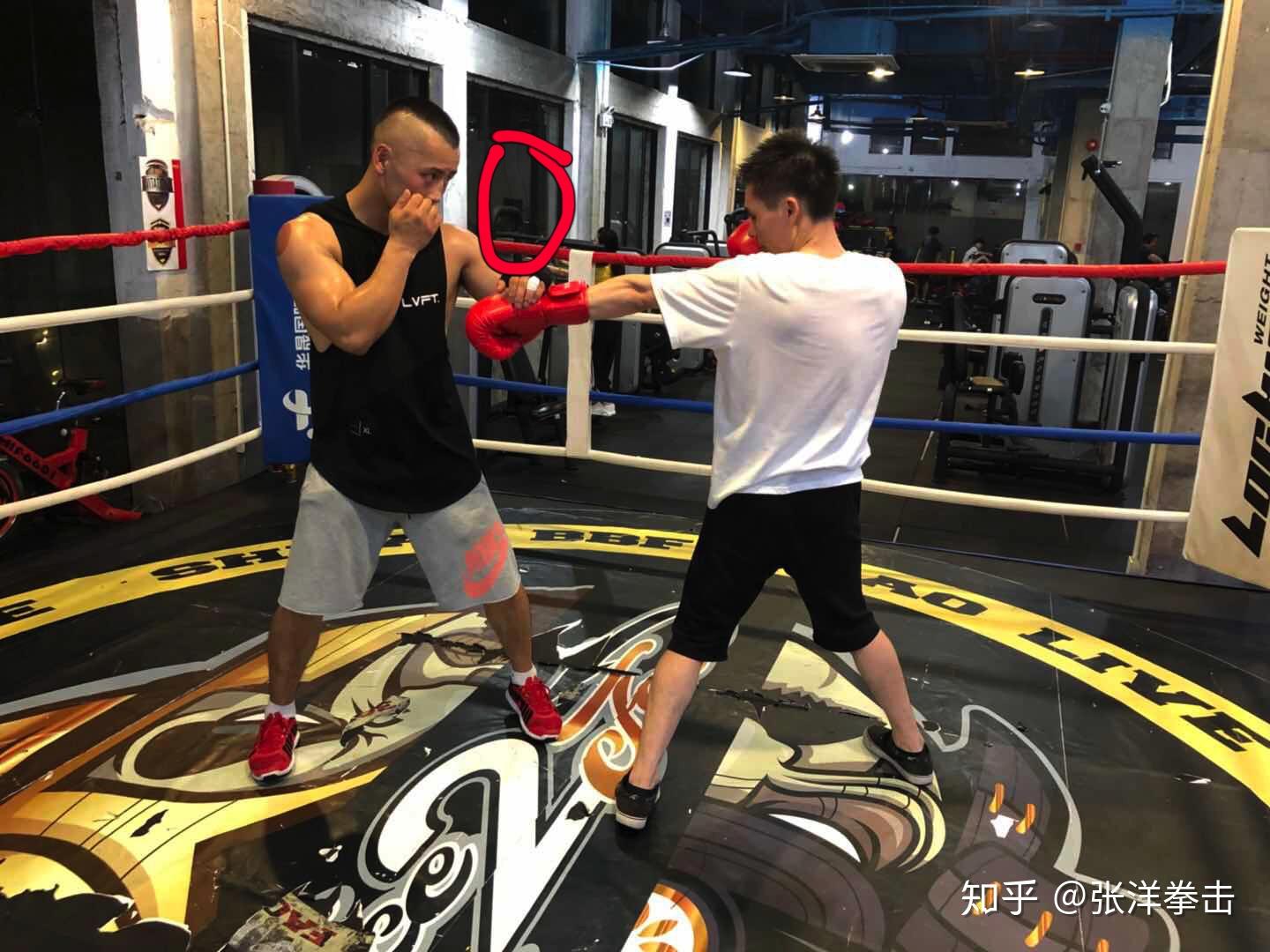 拳击基本防守——拍击 - 知乎