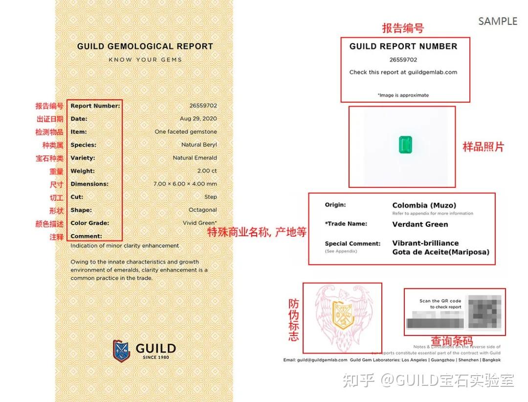 超全guild检测报告阅读指南2021