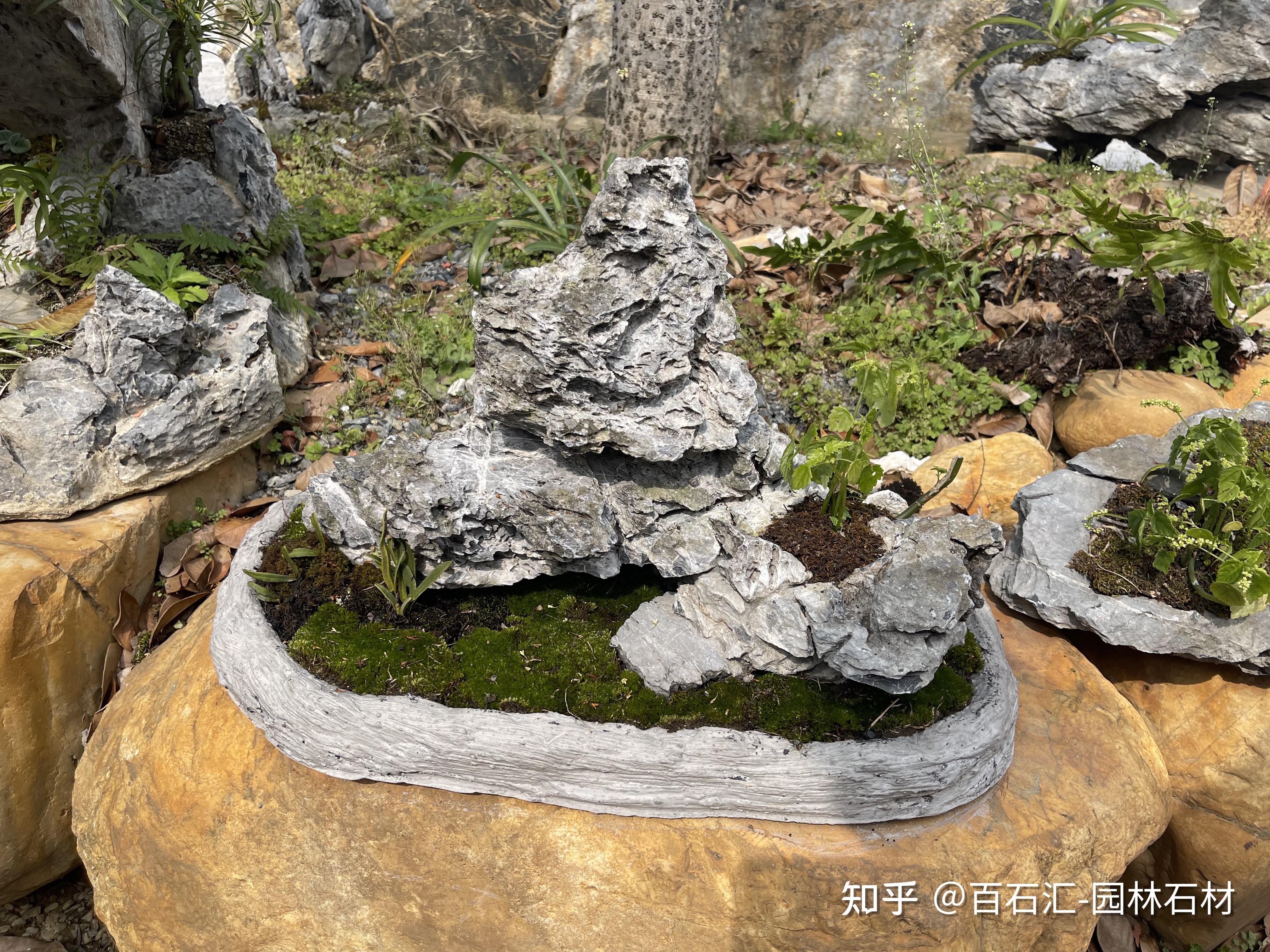 英德石小英石摆景案例图分享