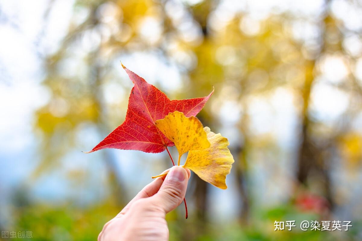 最好的人生都是自己闖出來的千萬不要蹉跎時光