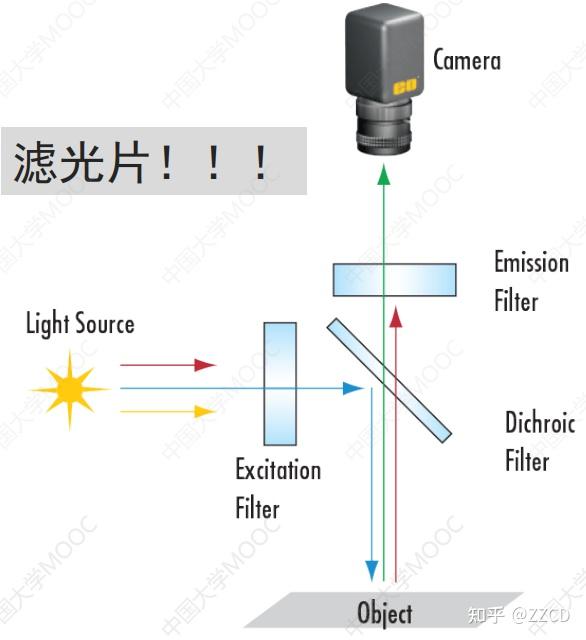 【分子光谱与成像】III 分子荧光与荧光显微镜 - 知乎