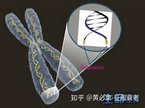 知乎专栏