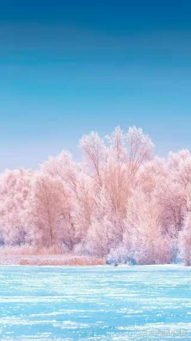 今日立冬 - 知乎