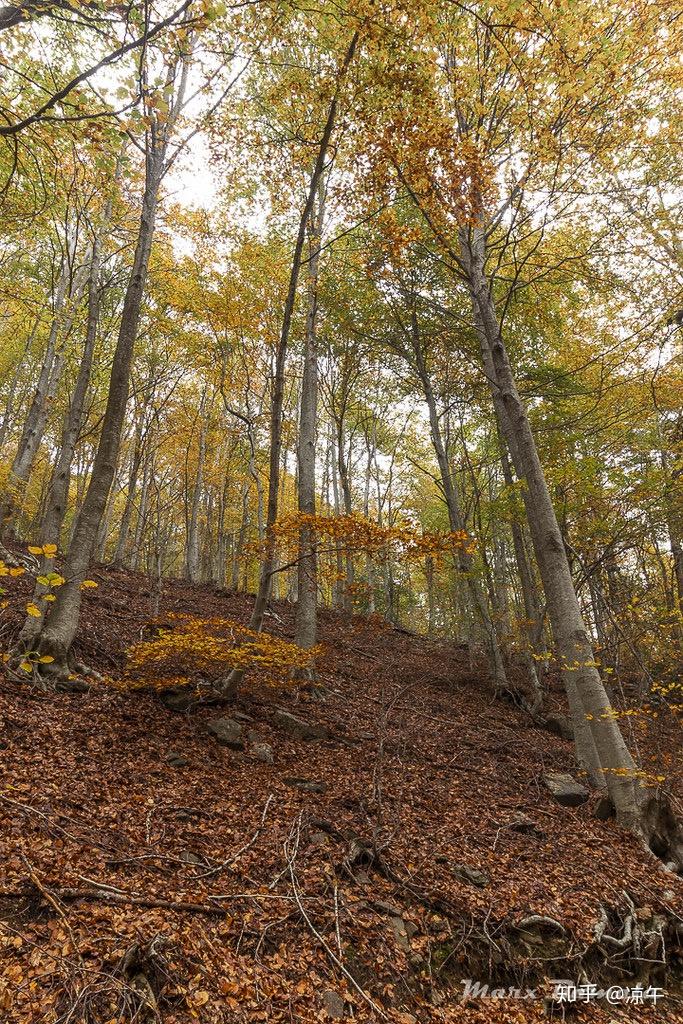 西班牙有什么冷门又好玩的地方吗?