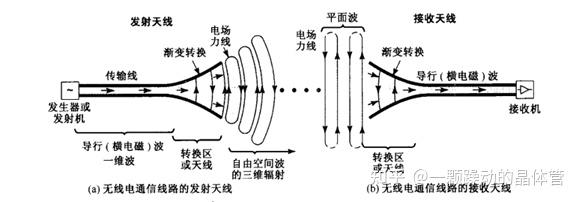 垂直极化天线图解图片