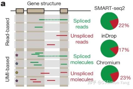 2020-011 RNA Velocity Of Single Cells - 知乎