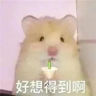 120张万能的表情包推荐-万能表情图片大全